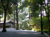 Harajuku - Meiji-jingu shrine